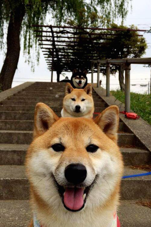 评分拉满的阿圭罗与闪电战的利物浦,当个人英雄主义遭遇整体性碾压